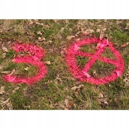 Farba geodezyjna SOPPEC FLUO TP 500 ml – fluorescencyjna farba w sprayu